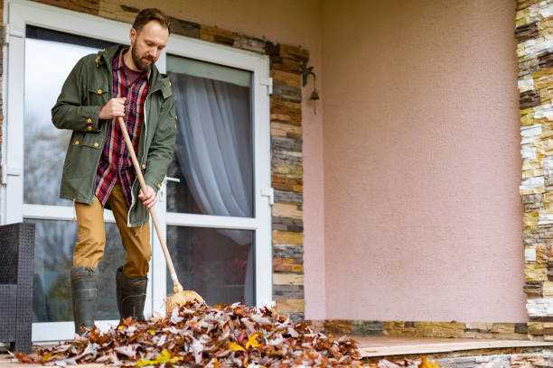 Attic Cleanout Services in Bonduel, WI